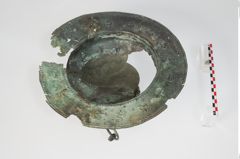 Foto von Bronzebreitrandfußschale (NHMW-PRAE-024138)